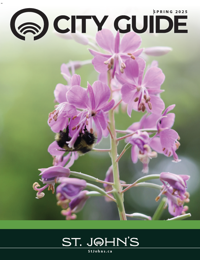 Cover of Spring City Guide 2025 with a bee on a flower