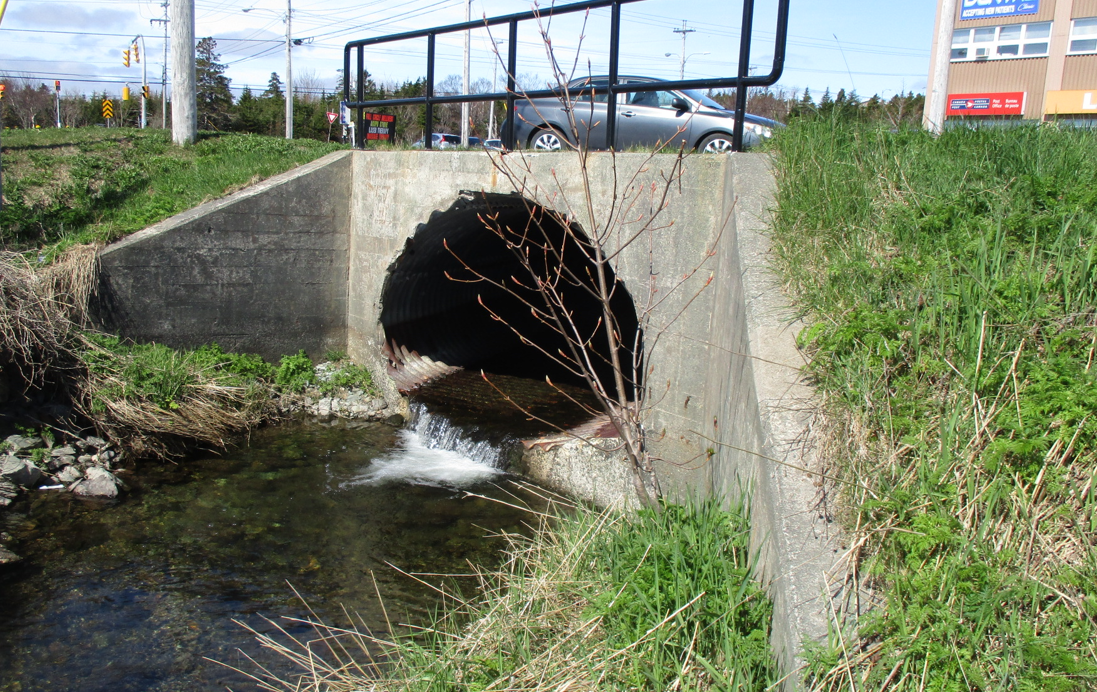 A concrete culvert with green grass on either side and a railing above. There is water flowing through the culvert.